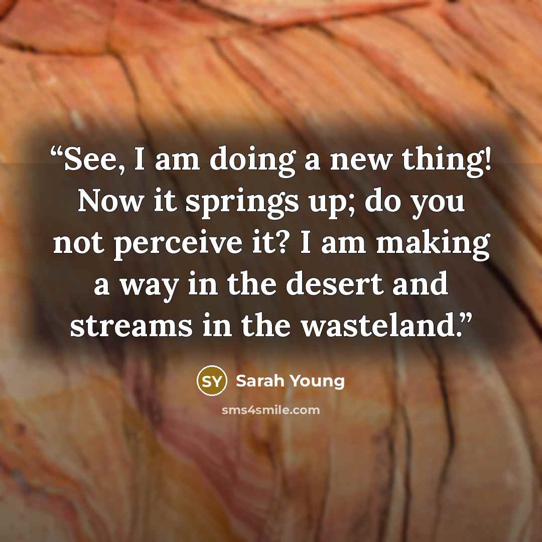 “See, I am doing a new thing! Now it springs up; do you not perceive it? I am making a way in the desert and streams in the wasteland.” quote by Sarah Young