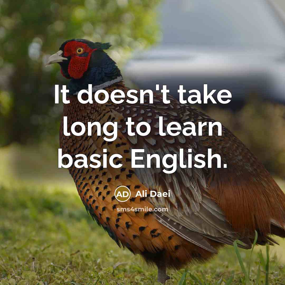 “It doesn't take long to learn basic English.” quote by Ali Daei