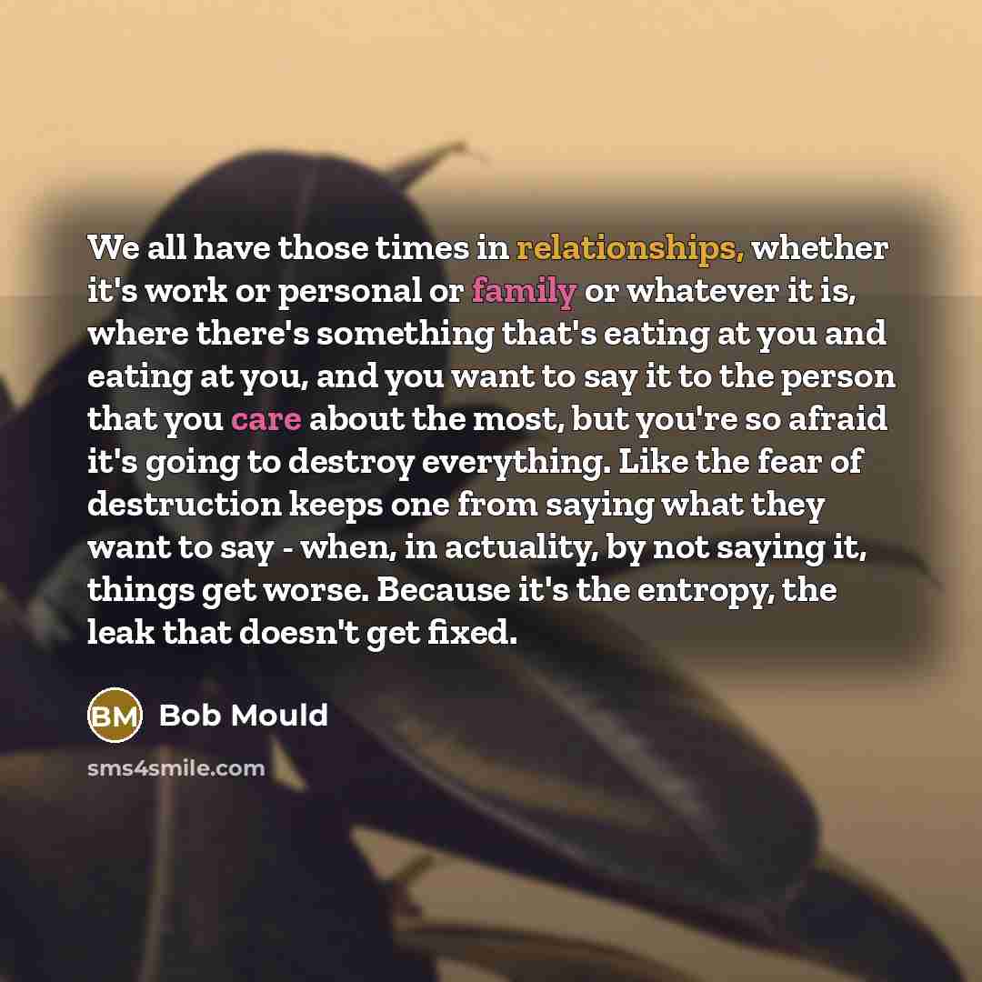 “We all have those times in relationships, whether it's work or personal or family or whatever it is, where there's something that's eating at you and eating at you, and you want to say it to the person that you care about the most, but you're so afraid it's going to destroy everything. Like the…” quote by Bob Mould
