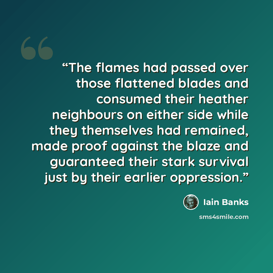 “The flames had passed over those flattened blades and consumed their heather neighbours on either side while they themselves had remained, made proof against the blaze and guaranteed their stark survival just by their earlier oppression.” quote by Iain Banks