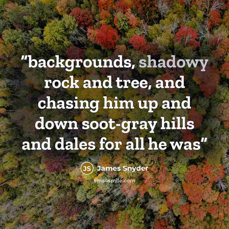 “backgrounds, shadowy rock and tree, and chasing him up and down soot-gray hills and dales for all he was” quote by James Snyder