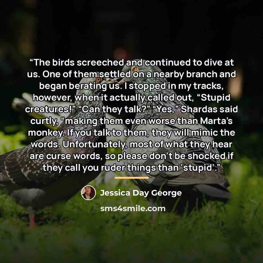 “The birds screeched and continued to dive at us. One of them settled on a nearby branch and began berating us. I stopped in my tracks, however, when it actually called out, “Stupid creatures!” “Can they talk?” “Yes,” Shardas said curtly, “making them even worse than Marta’s monkey. If you talk to…” quote by Jessica Day George