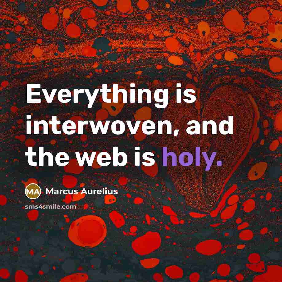 “Everything is interwoven, and the web is holy.” quote by Marcus Aurelius