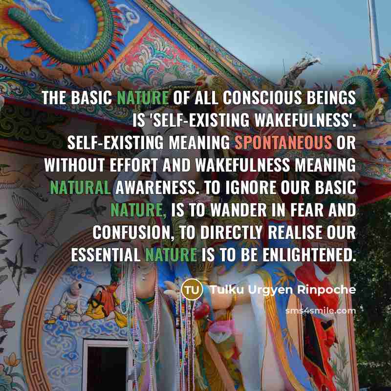 “The basic nature of all conscious beings is 'self-existing wakefulness'. Self-existing meaning spontaneous or without effort and wakefulness meaning natural awareness. To ignore our basic nature, is to wander in fear and confusion, to directly realise our essential nature is to be Enlightened.” quote by Tulku Urgyen Rinpoche