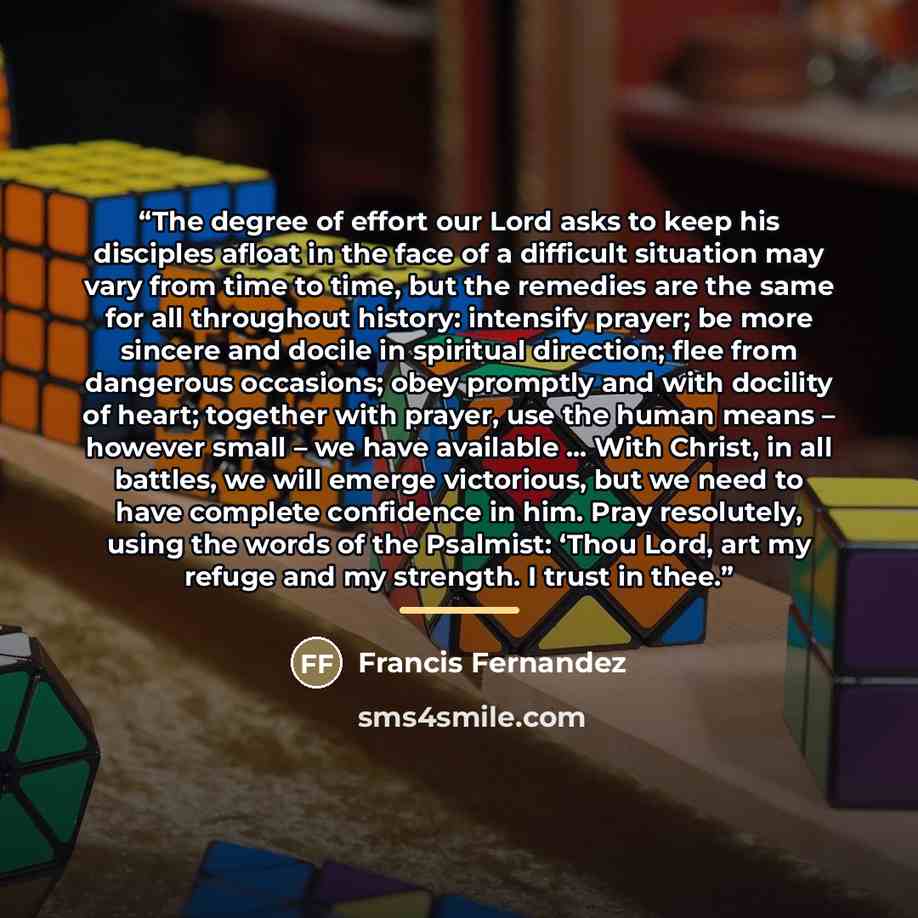 “The degree of effort our Lord asks to keep his disciples afloat in the face of a difficult situation may vary from time to time, but the remedies are the same for all throughout history: intensify prayer; be more sincere and docile in spiritual direction; flee from dangerous occasions; obey…” quote by Francis Fernandez