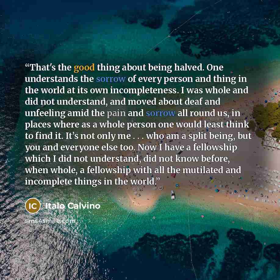 “That's the good thing about being halved. One understands the sorrow of every person and thing in the world at its own incompleteness. I was whole and did not understand, and moved about deaf and unfeeling amid the pain and sorrow all round us, in places where as a whole person one would least…” quote by Italo Calvino