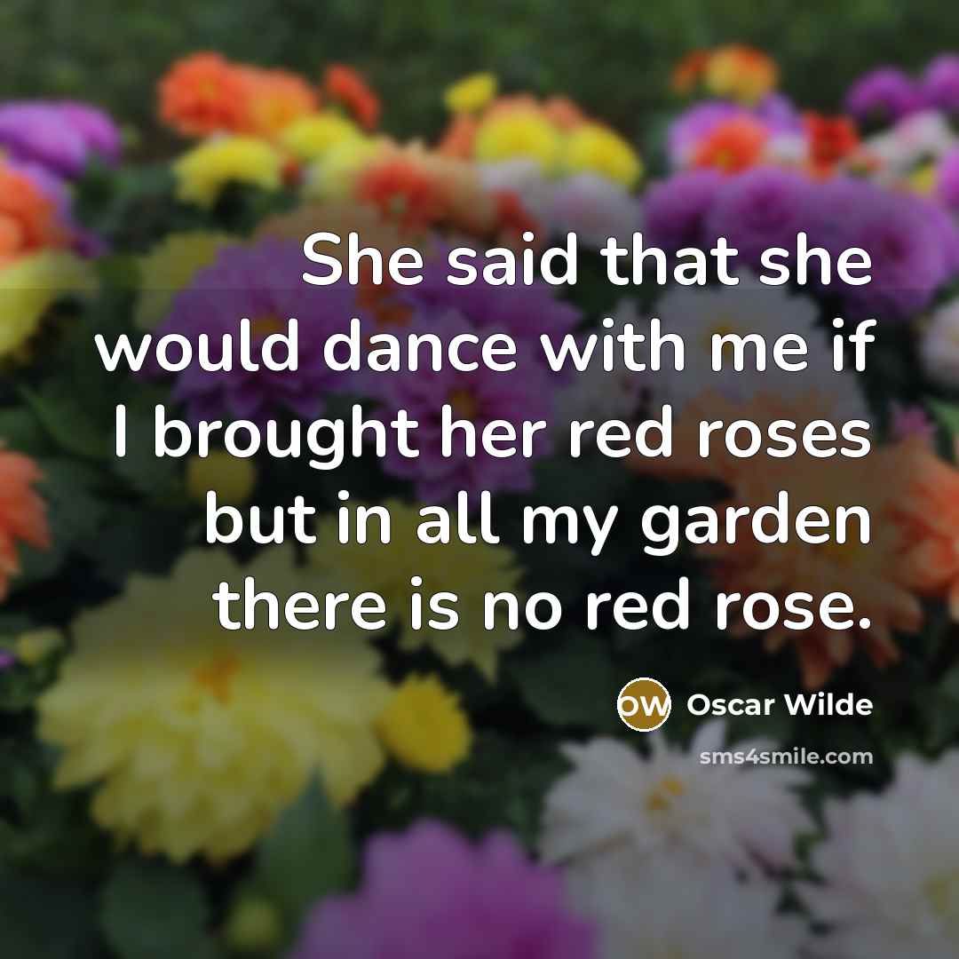 “She said that she would dance with me if I brought her red roses but in all my garden there is no red rose.” quote by Oscar Wilde