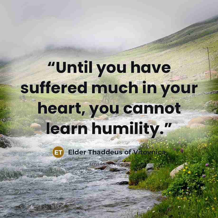 “Until you have suffered much in your heart, you cannot learn humility.” quote by Elder Thaddeus of Vitovnica
