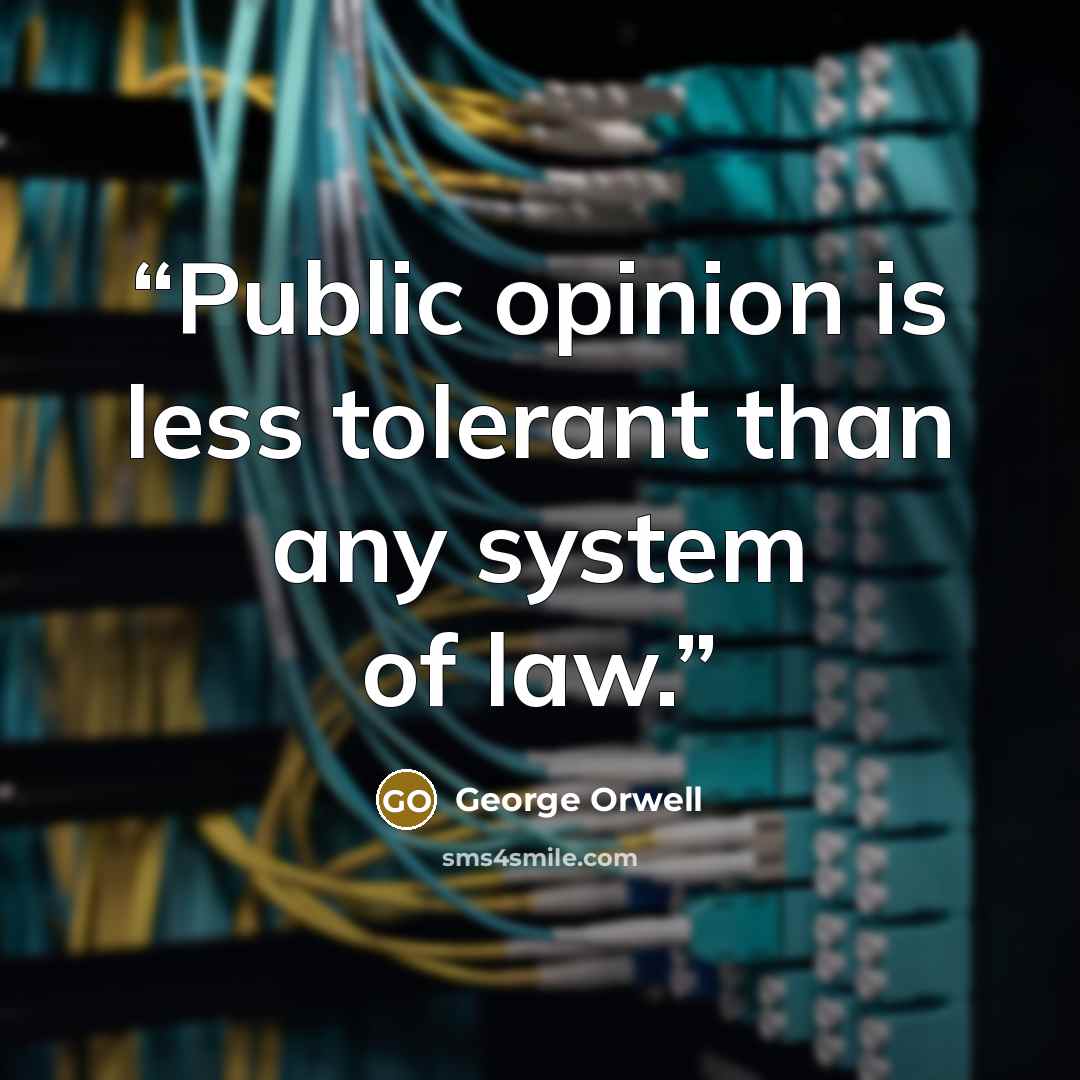 “Public opinion is less tolerant than any system of law.” quote by George Orwell