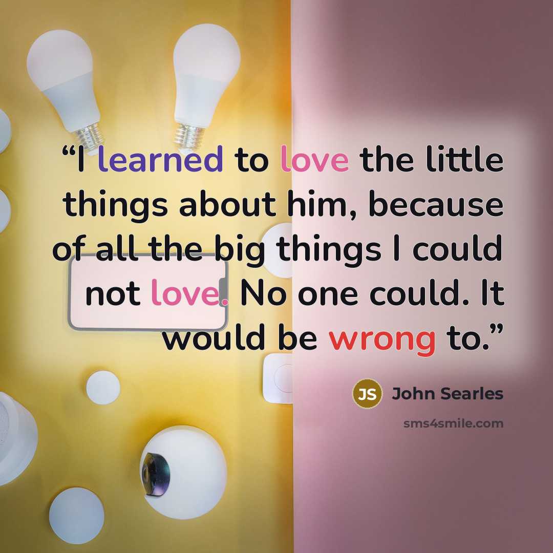 “I learned to love the little things about him, because of all the big things I could not love. No one could. It would be wrong to.” quote by John Searles