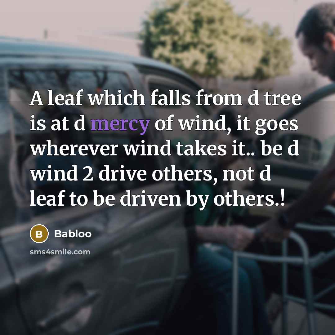 “A leaf which falls from d tree is at d mercy of wind, it goes wherever wind takes it.. be d wind 2 drive others, not d leaf to be driven by others.!” quote by Babloo