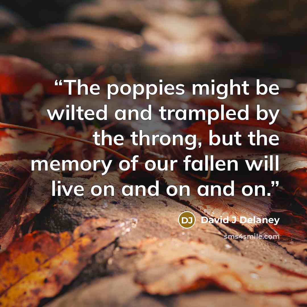 “The poppies might be wilted and trampled by the throng, but the memory of our fallen will live on and on and on.” quote by David J Delaney