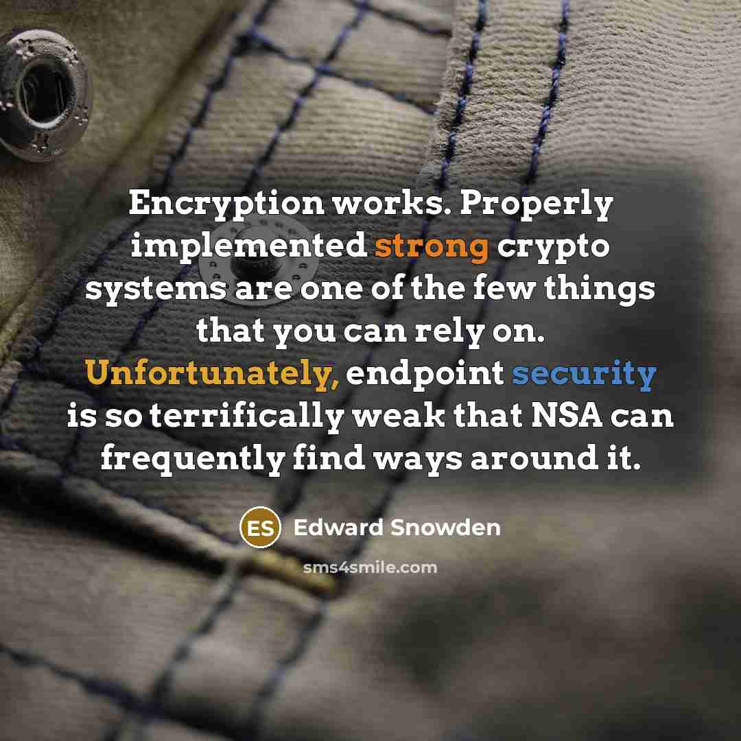 “Encryption works. Properly implemented strong crypto systems are one of the few things that you can rely on. Unfortunately, endpoint security is so terrifically weak that NSA can frequently find ways around it.” quote by Edward Snowden