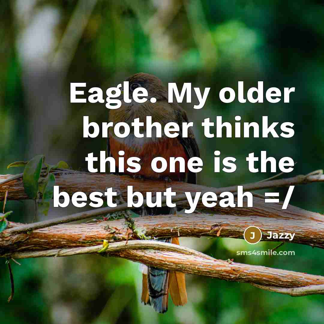 “Eagle. My older brother thinks this one is the best but yeah =/” quote by Jazzy