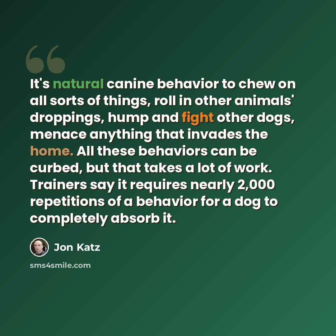 “It's natural canine behavior to chew on all sorts of things, roll in other animals' droppings, hump and fight other dogs, menace anything that invades the home. All these behaviors can be curbed, but that takes a lot of work. Trainers say it requires nearly 2,000 repetitions of a behavior for a…” quote by Jon Katz