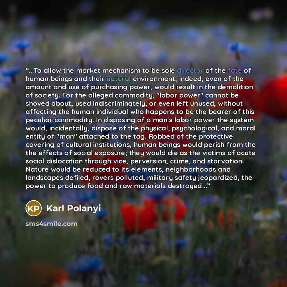“...To allow the market mechanism to be sole director of the fate of human beings and their natural environment, indeed, even of the amount and use of purchasing power, would result in the demolition of society. For the alleged commodity, "labor power" cannot be shoved about, used indiscriminately…” quote by Karl Polanyi