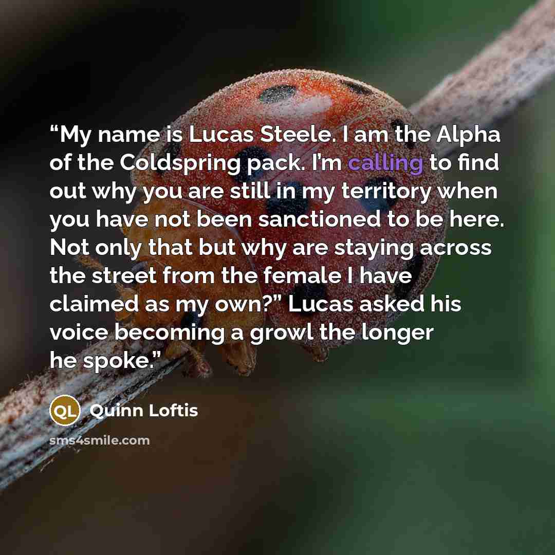 “My name is Lucas Steele. I am the Alpha of the Coldspring pack. I’m calling to find out why you are still in my territory when you have not been sanctioned to be here. Not only that but why are staying across the street from the female I have claimed as my own?” Lucas asked his voice becoming a…” quote by Quinn Loftis