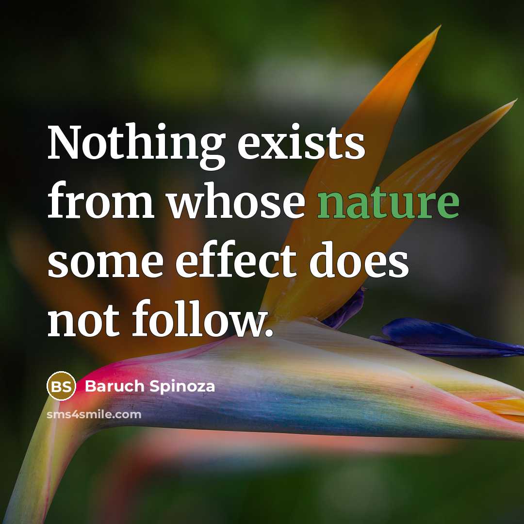 “Nothing exists from whose nature some effect does not follow.” quote by Baruch Spinoza
