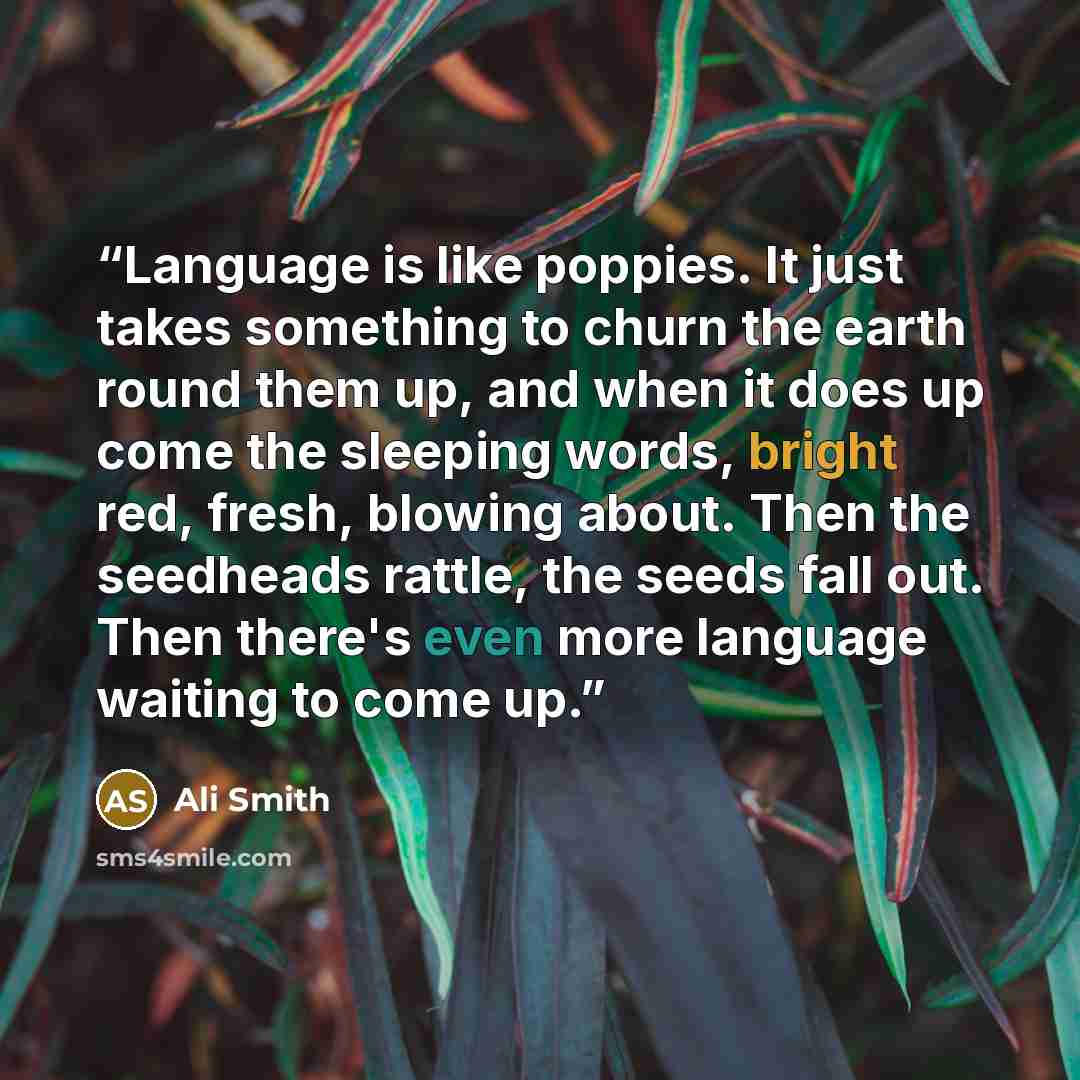 “Language is like poppies. It just takes something to churn the earth round them up, and when it does up come the sleeping words, bright red, fresh, blowing about. Then the seedheads rattle, the seeds fall out. Then there's even more language waiting to come up.” quote by Ali Smith