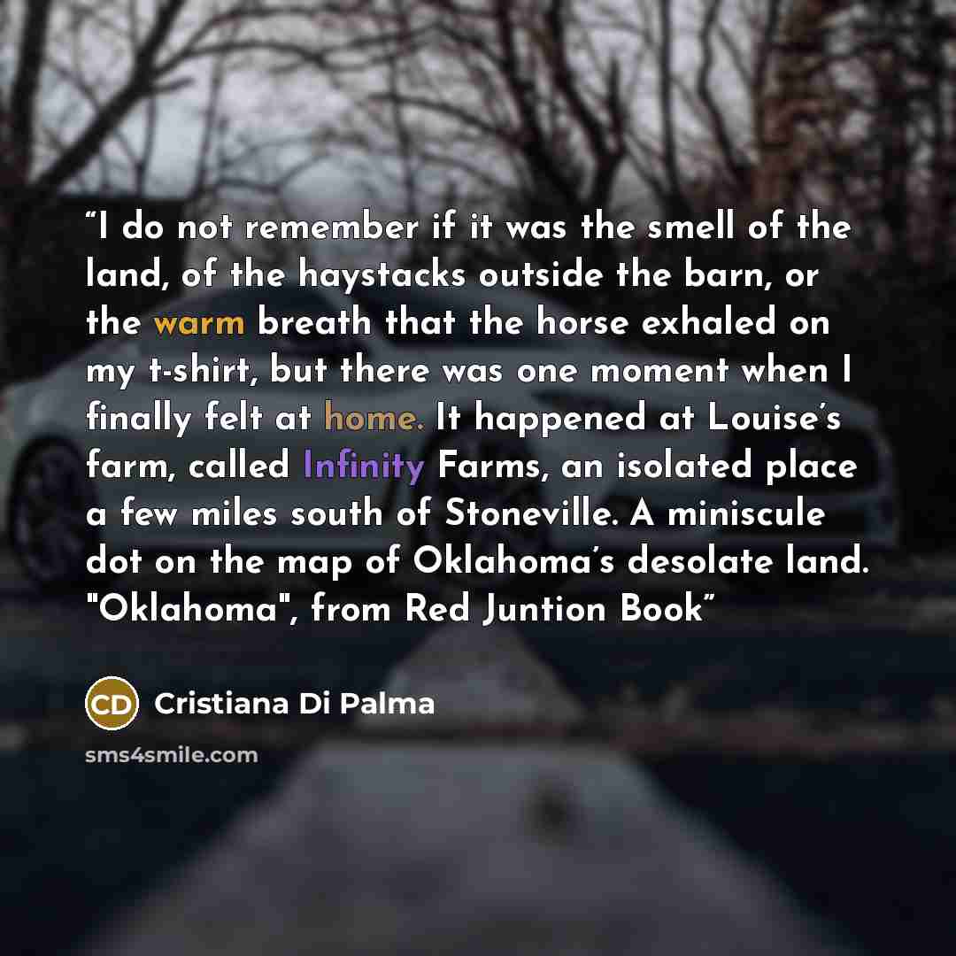 “I do not remember if it was the smell of the land, of the haystacks outside the barn, or the warm breath that the horse exhaled on my t-shirt, but there was one moment when I finally felt at home. It happened at Louise’s farm, called Infinity Farms, an isolated place a few miles south of…” quote by Cristiana Di Palma