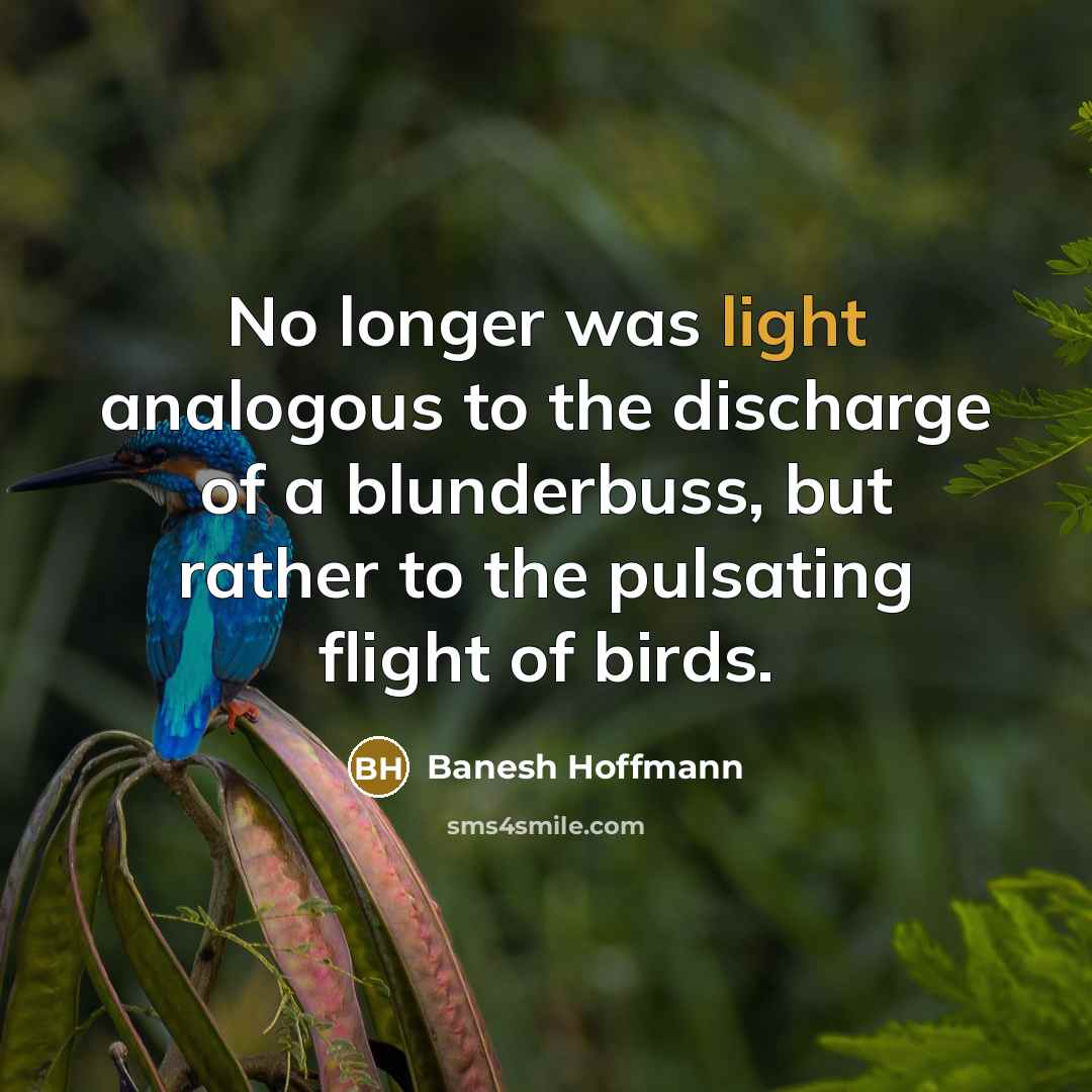 “No longer was light analogous to the discharge of a blunderbuss, but rather to the pulsating flight of birds.” quote by Banesh Hoffmann