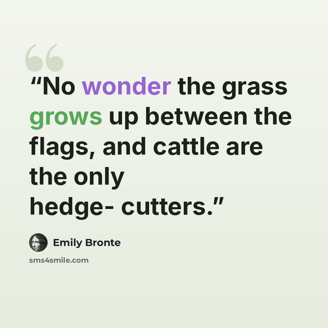 “No wonder the grass grows up between the flags, and cattle are the only hedge- cutters.” quote by Emily Brontë