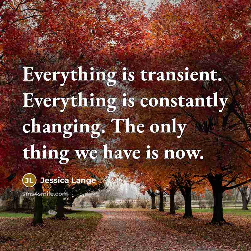 “Everything is transient. Everything is constantly changing. The only thing we have is now.” quote by Jessica Lange