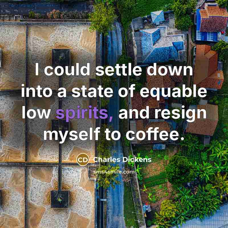 “I could settle down into a state of equable low spirits, and resign myself to coffee.” quote by Charles Dickens