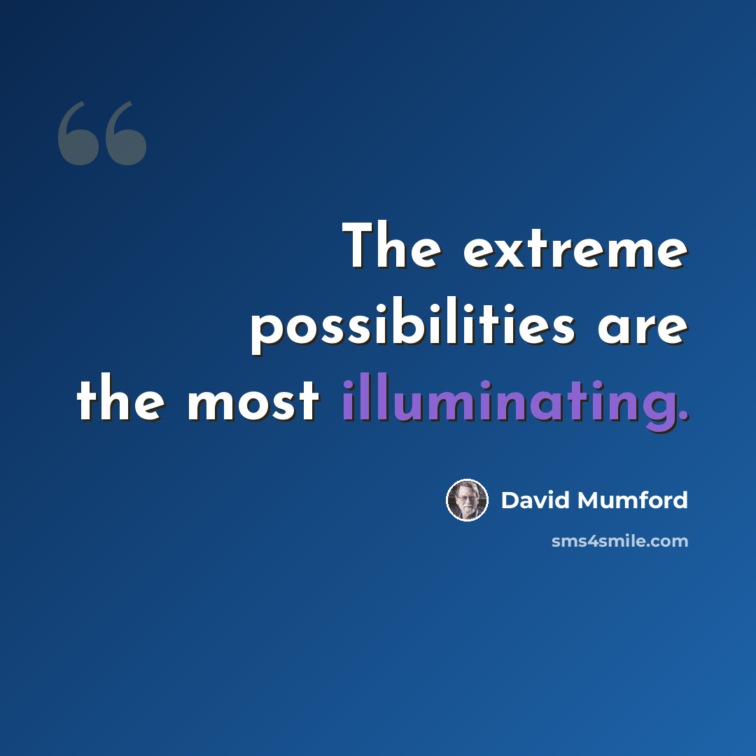 “The extreme possibilities are the most illuminating.” quote by David Mumford