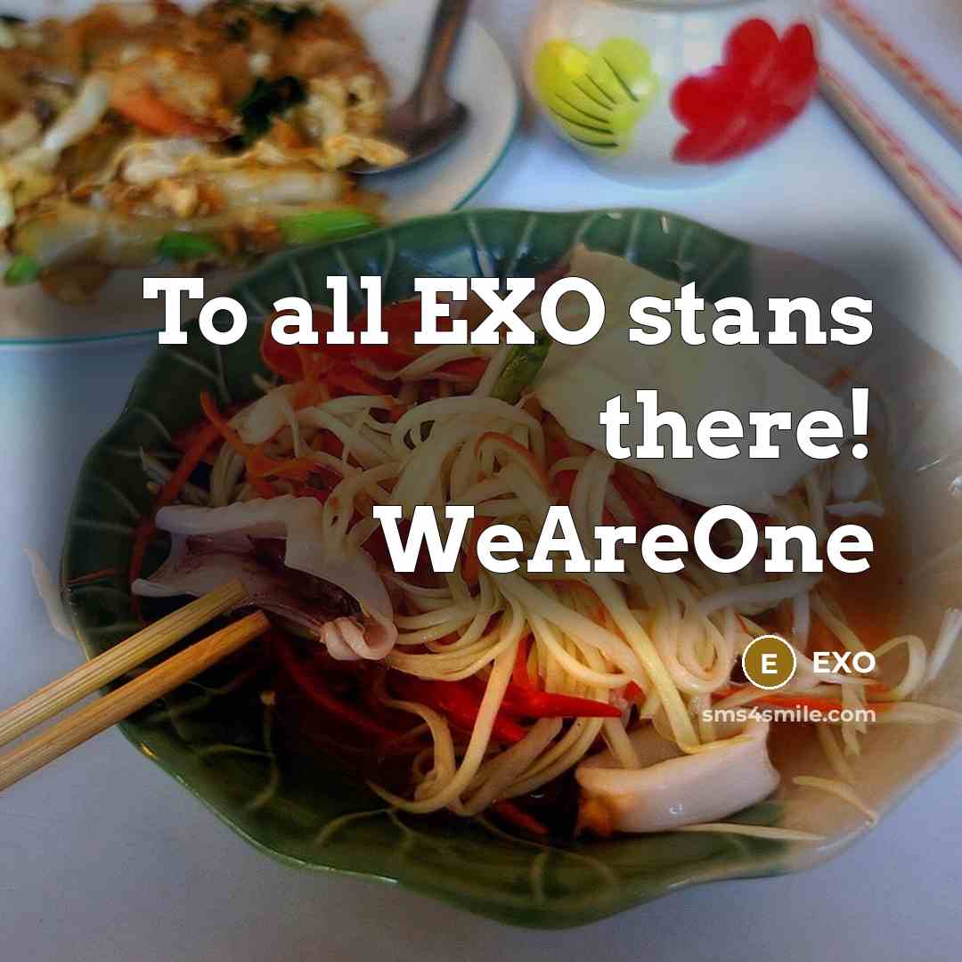 “To all EXO stans there! WeAreOne” quote by EXO