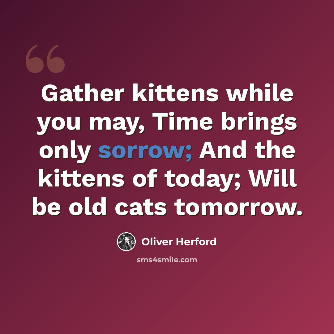 “Gather kittens while you may, Time brings only sorrow; And the kittens of today; Will be old cats tomorrow.” quote by Oliver Herford