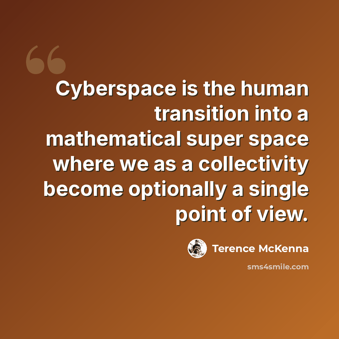 “Cyberspace is the human transition into a mathematical super space where we as a collectivity become optionally a single point of view.” quote by Terence McKenna