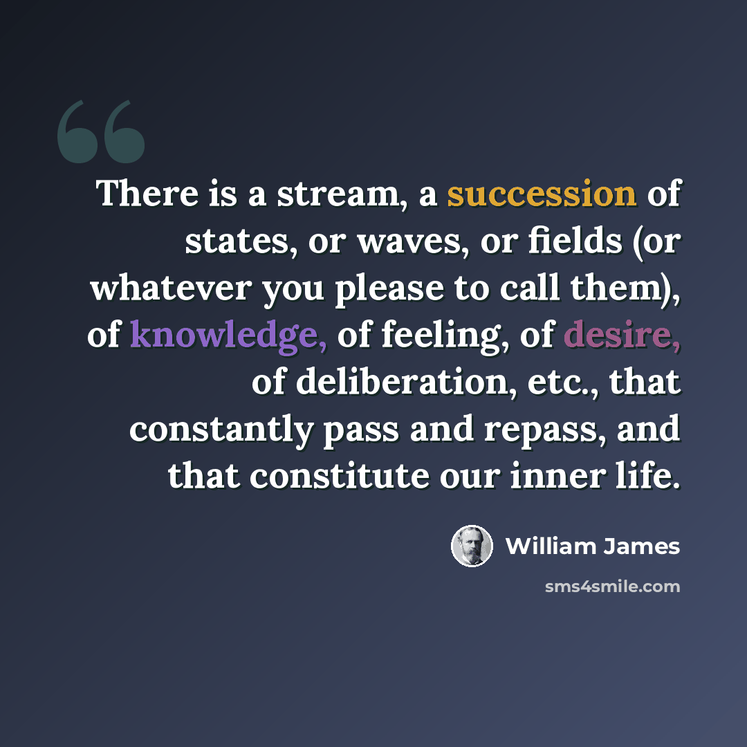 “There is a stream, a succession of states, or waves, or fields (or whatever you please to call them), of knowledge, of feeling, of desire, of deliberation, etc., that constantly pass and repass, and that constitute our inner life.” quote by William James