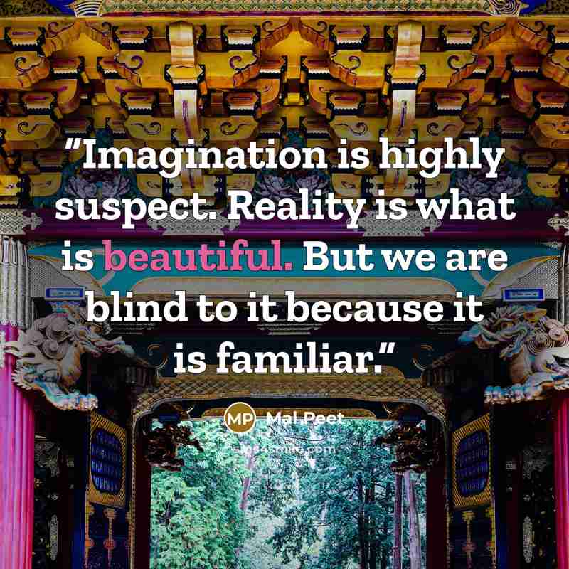 “Imagination is highly suspect. Reality is what is beautiful. But we are blind to it because it is familiar.” quote by Mal Peet