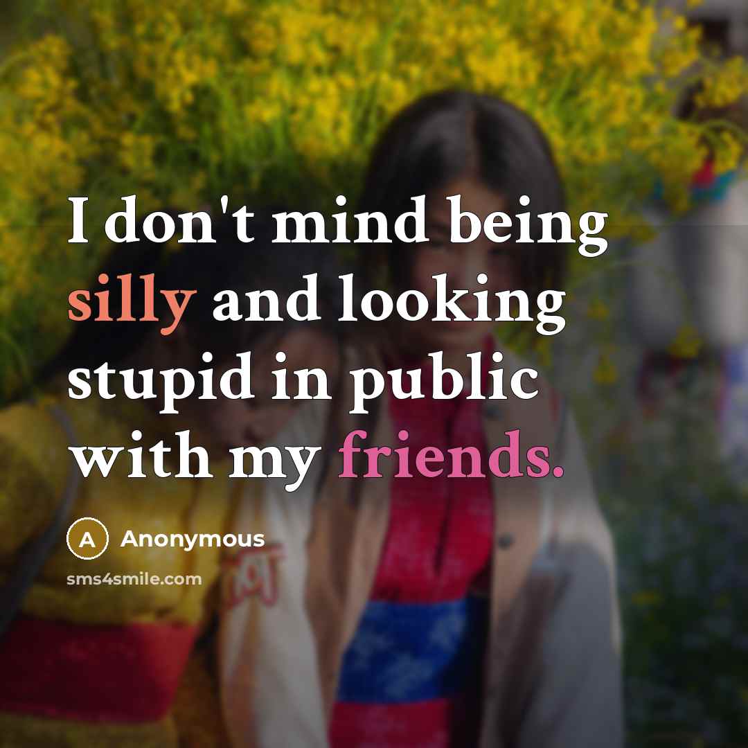 “I don't mind being silly and looking stupid in public with my friends.” quote by Anonymous