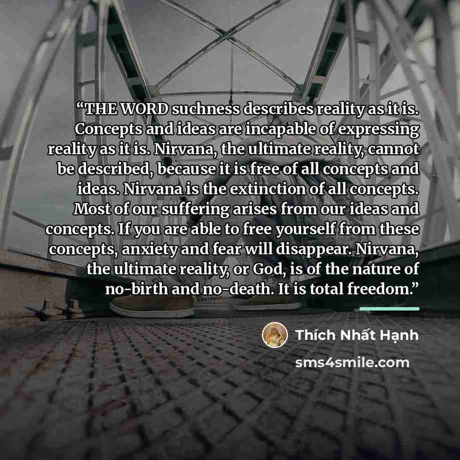 “THE WORD suchness describes reality as it is. Concepts and ideas are incapable of expressing reality as it is. Nirvana, the ultimate reality, cannot be described, because it is free of all concepts and ideas. Nirvana is the extinction of all concepts. Most of our suffering arises from our ideas…” quote by Thich Nhat Hanh