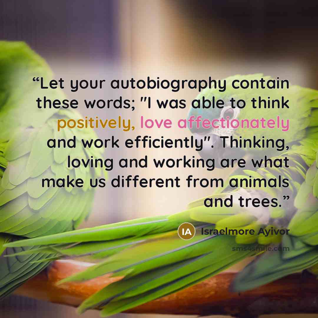 “Let your autobiography contain these words; "I was able to think positively, love affectionately and work efficiently". Thinking, loving and working are what make us different from animals and trees.” quote by Israelmore Ayivor