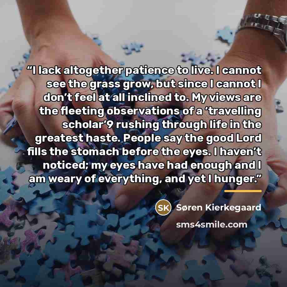 “I lack altogether patience to live. I cannot see the grass grow, but since I cannot I don’t feel at all inclined to. My views are the fleeting observations of a ‘travelling scholar’9 rushing through life in the greatest haste. People say the good Lord fills the stomach before the eyes. I haven’t…” quote by Søren Kierkegaard
