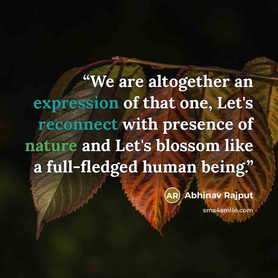 “We are altogether an expression of that one, Let's reconnect with presence of nature and Let's blossom like a full-fledged human being.” quote by Abhinav Rajput