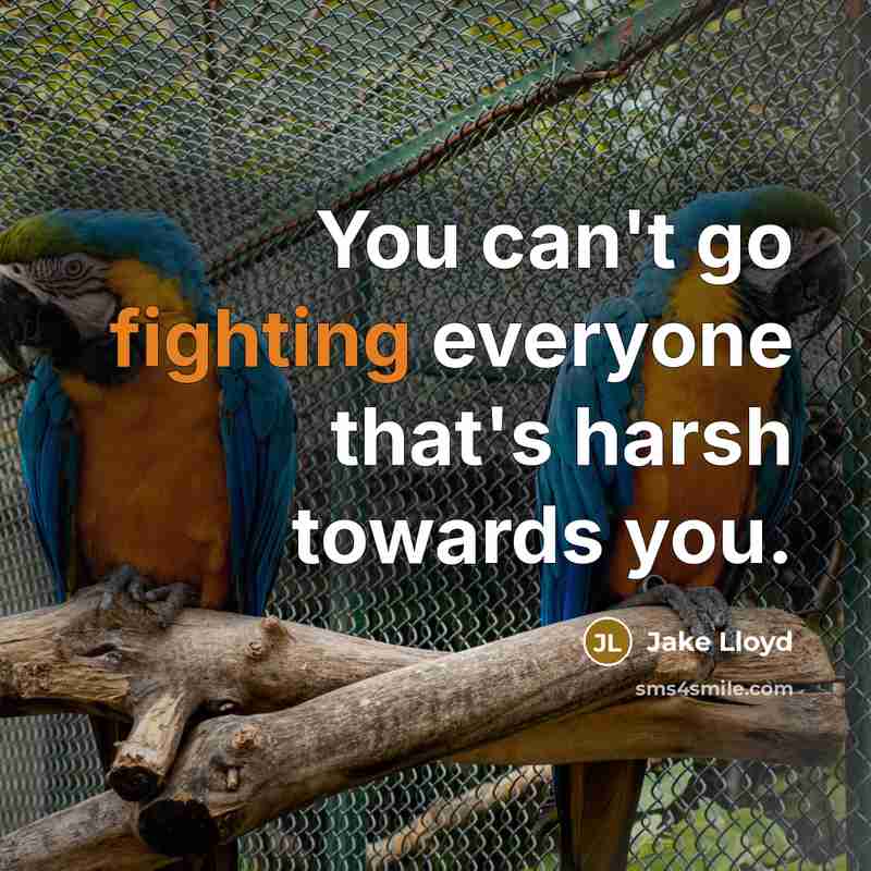 “You can't go fighting everyone that's harsh towards you.” quote by Jake Lloyd