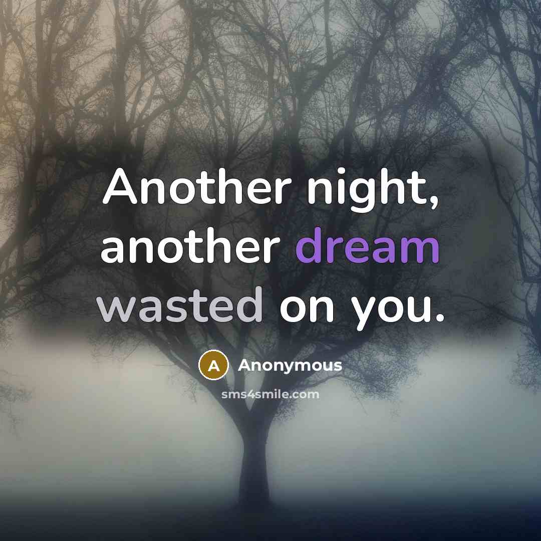 “Another night, another dream wasted on you.” quote by Anonymous