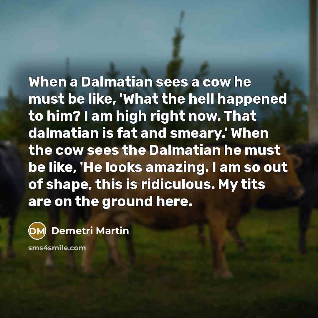 “When a Dalmatian sees a cow he must be like, 'What the hell happened to him? I am high right now. That dalmatian is fat and smeary.' When the cow sees the Dalmatian he must be like, 'He looks amazing. I am so out of shape, this is ridiculous. My tits are on the ground here.” quote by Demetri Martin