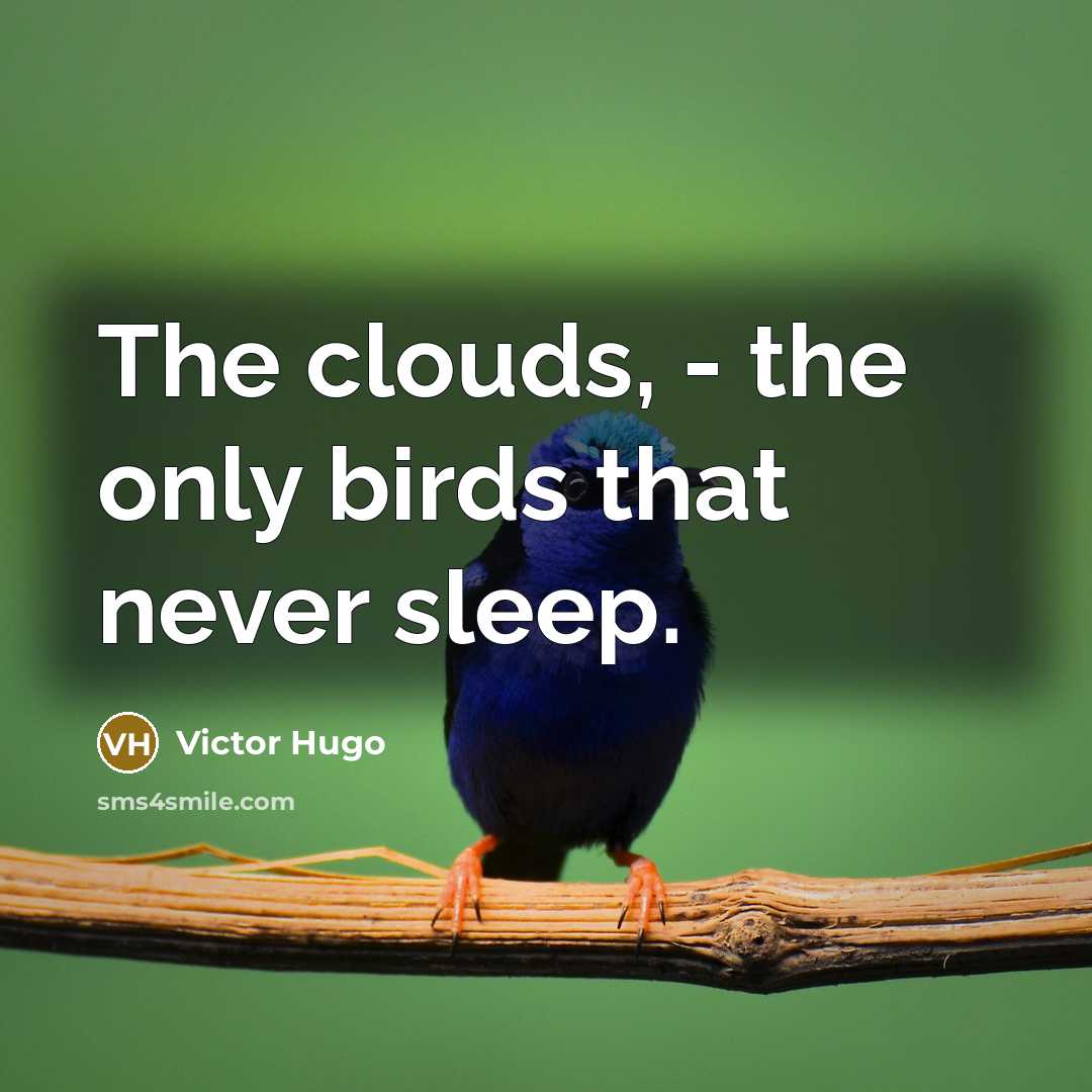 “The clouds, - the only birds that never sleep.” quote by Victor Hugo