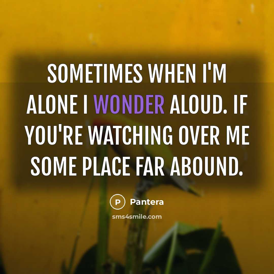 “Sometimes when I'm alone I wonder aloud. If you're watching over me some place far abound.” quote by Pantera