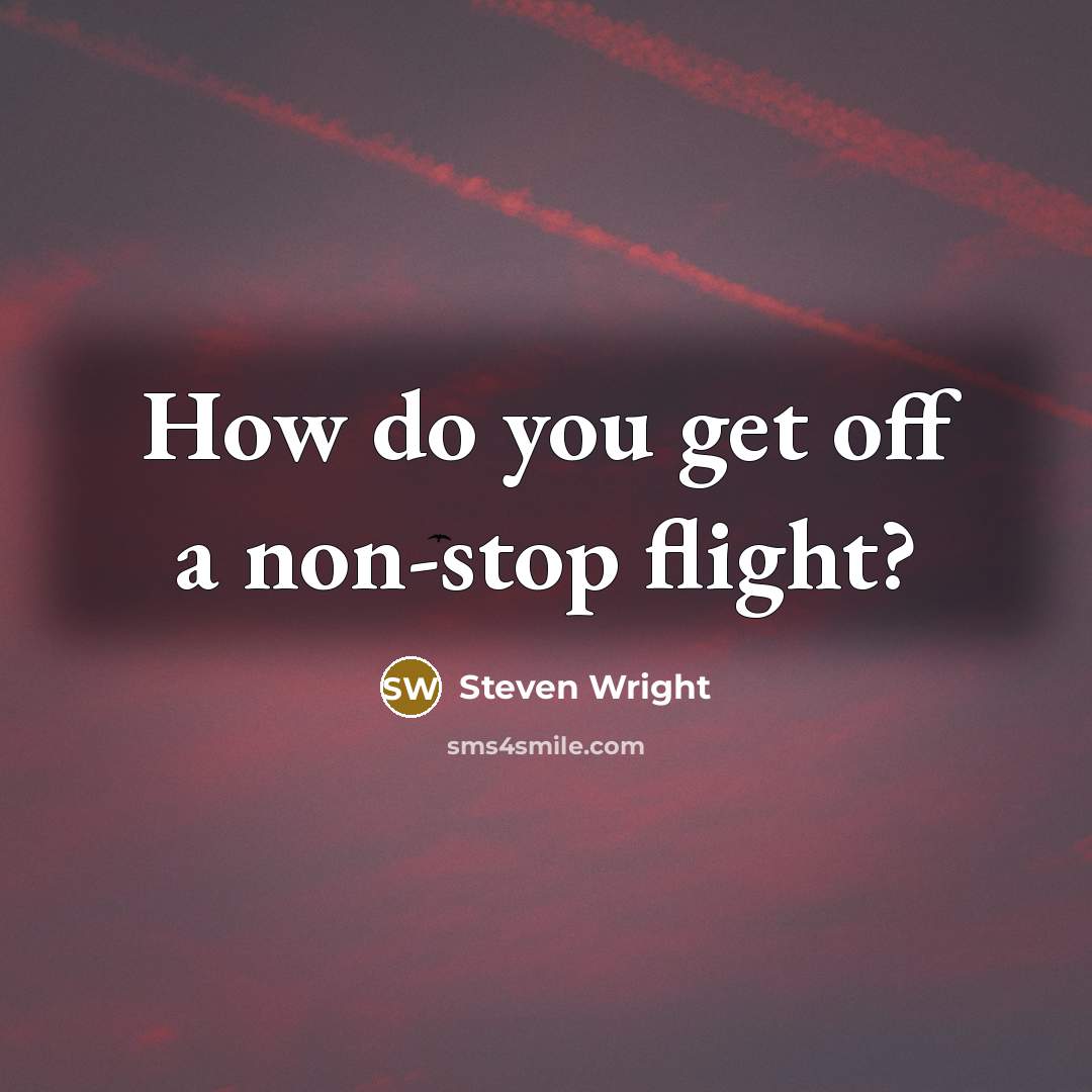 “How do you get off a non-stop flight?” quote by Steven Wright