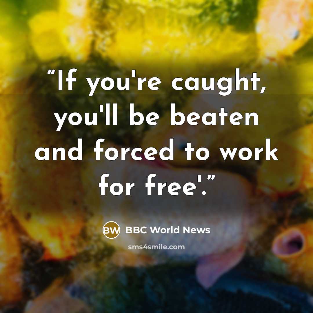 “If you're caught, you'll be beaten and forced to work for free'.” quote by BBC World News