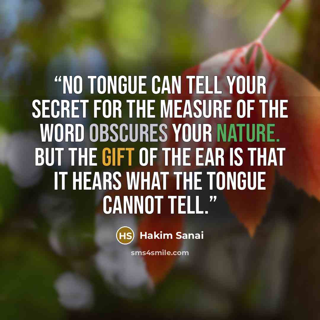 “No tongue can tell Your secret for the measure of the word obscures Your nature. But the gift of the ear is that it hears what the tongue cannot tell.” quote by Hakim Sanai