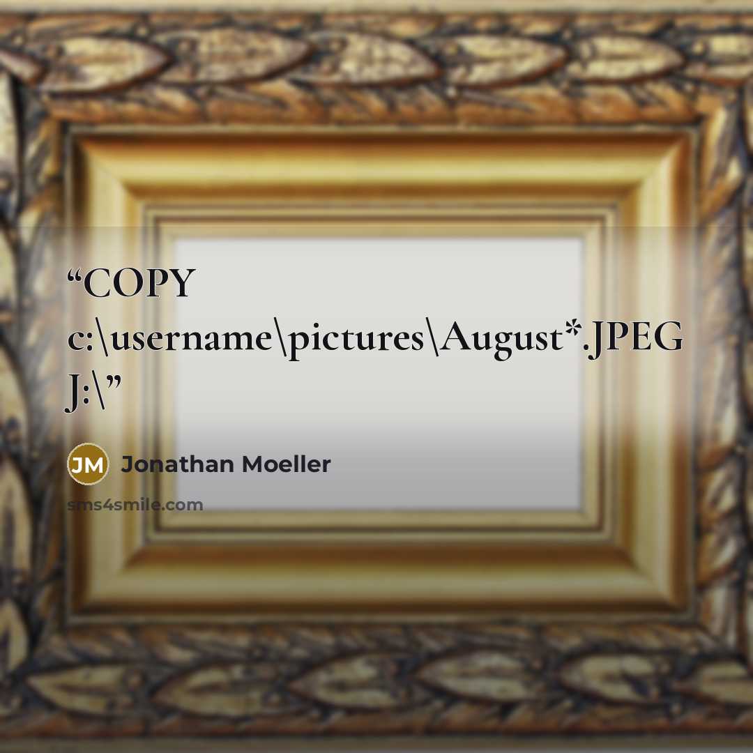“COPY c:\username\pictures\August*.JPEG J:\” quote by Jonathan Moeller