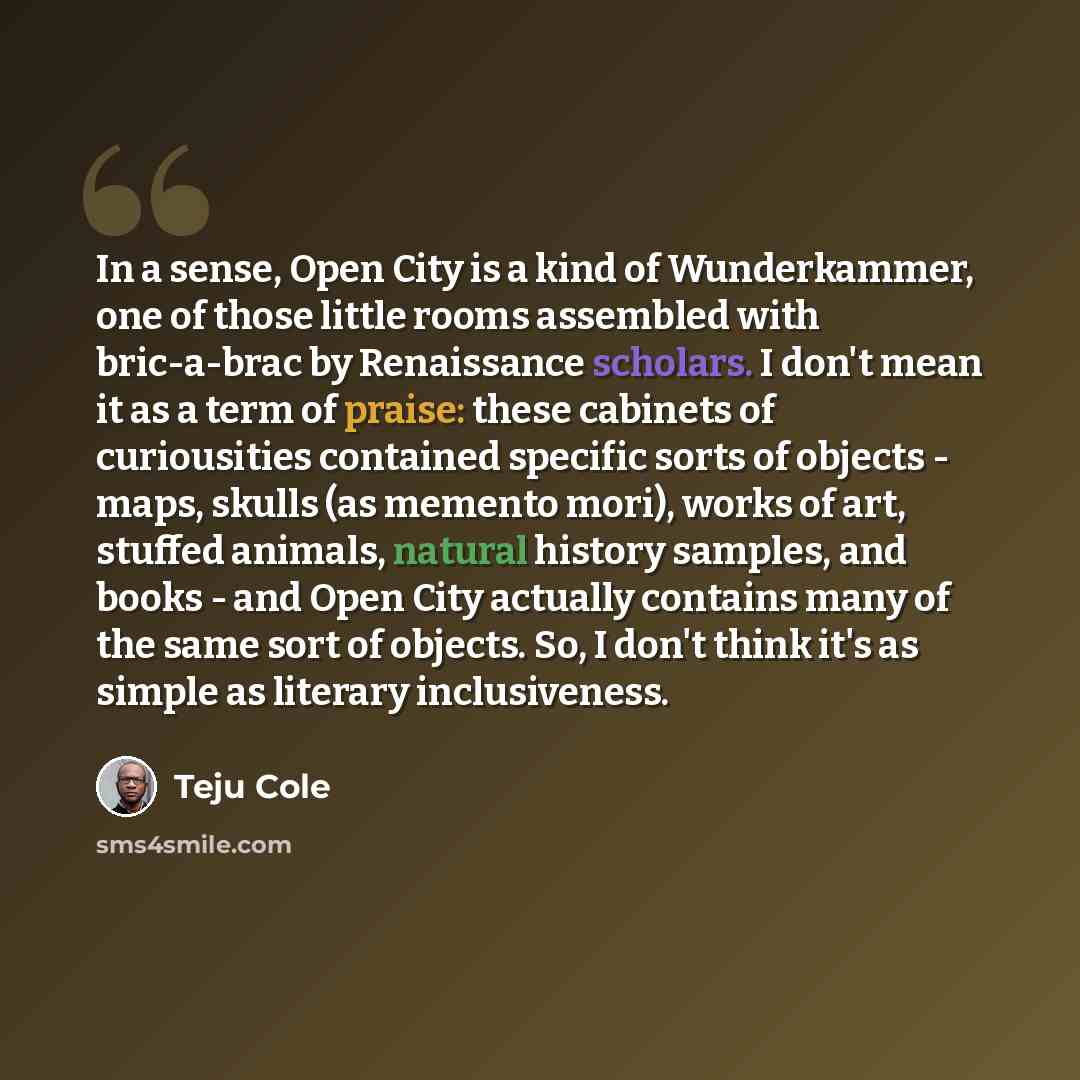 “In a sense, Open City is a kind of Wunderkammer, one of those little rooms assembled with bric-a-brac by Renaissance scholars. I don't mean it as a term of praise: these cabinets of curiousities contained specific sorts of objects - maps, skulls (as memento mori), works of art, stuffed animals…” quote by Teju Cole