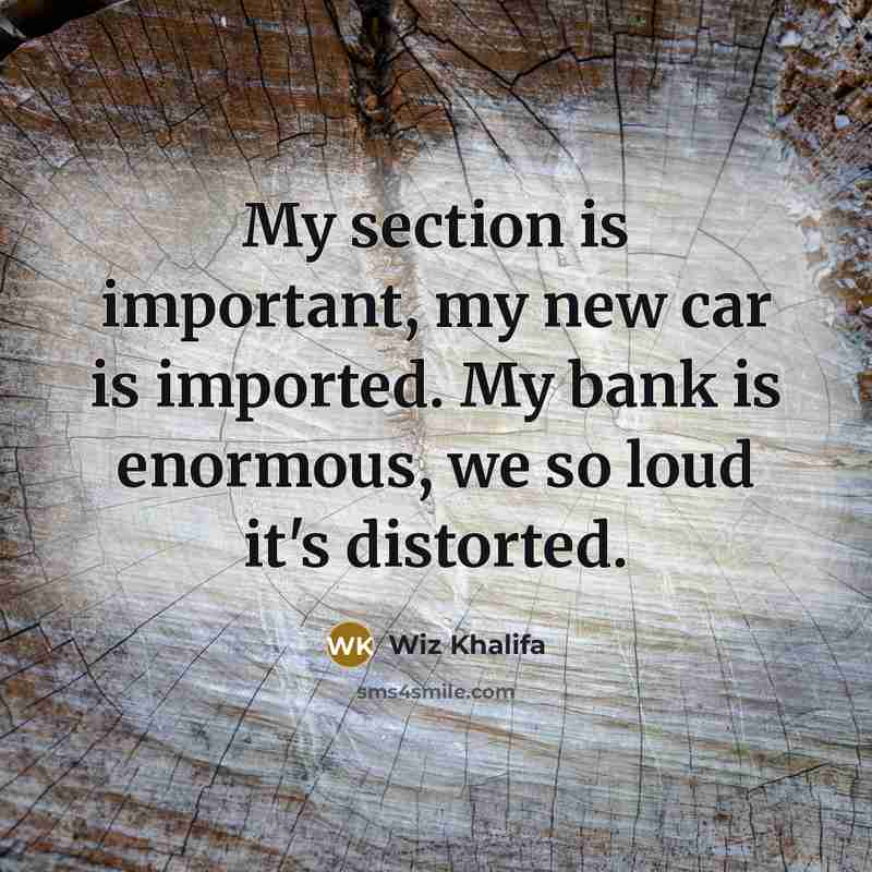 “My section is important, my new car is imported. My bank is enormous, we so loud it's distorted.” quote by Wiz Khalifa